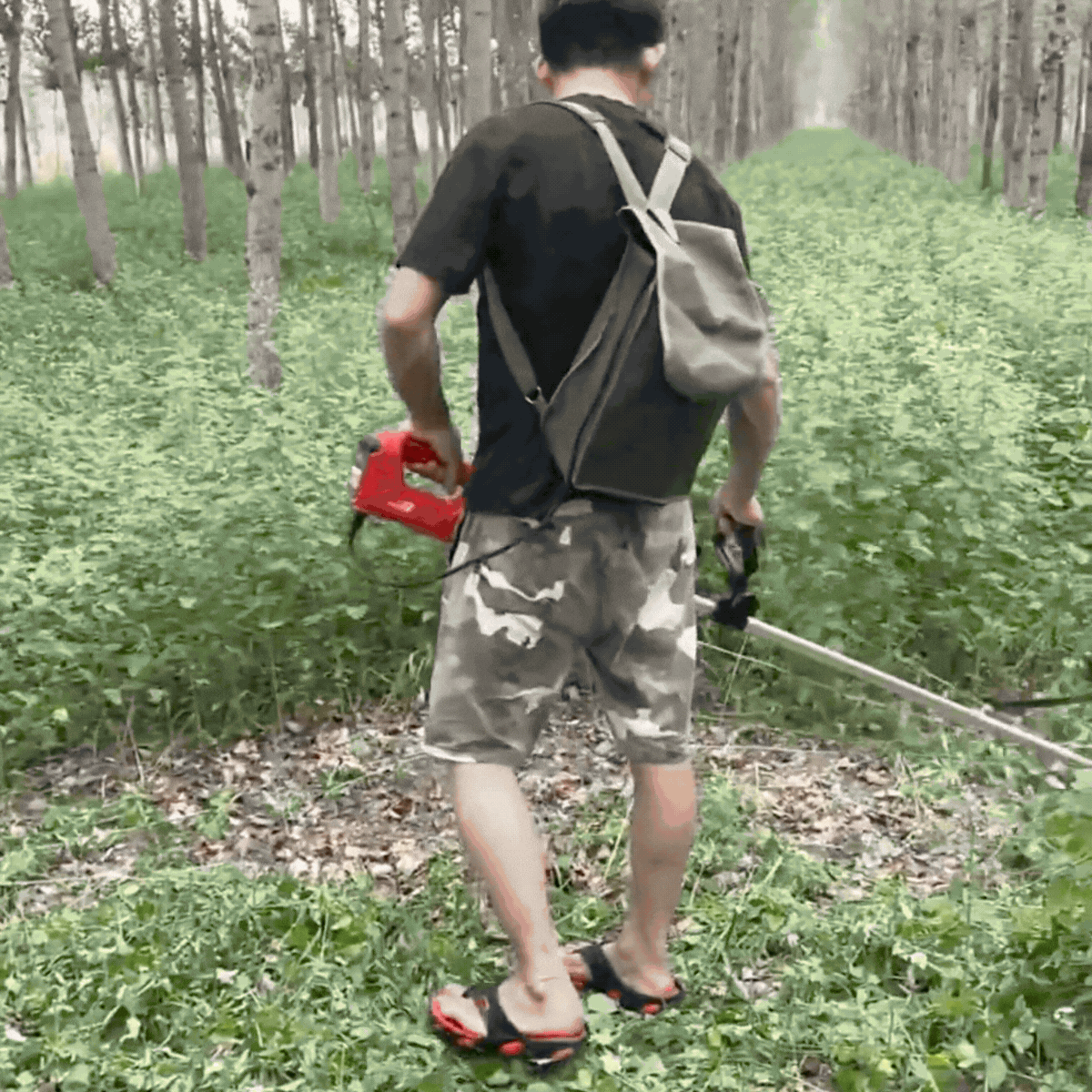 Rasentrimmer Pro in Aktion